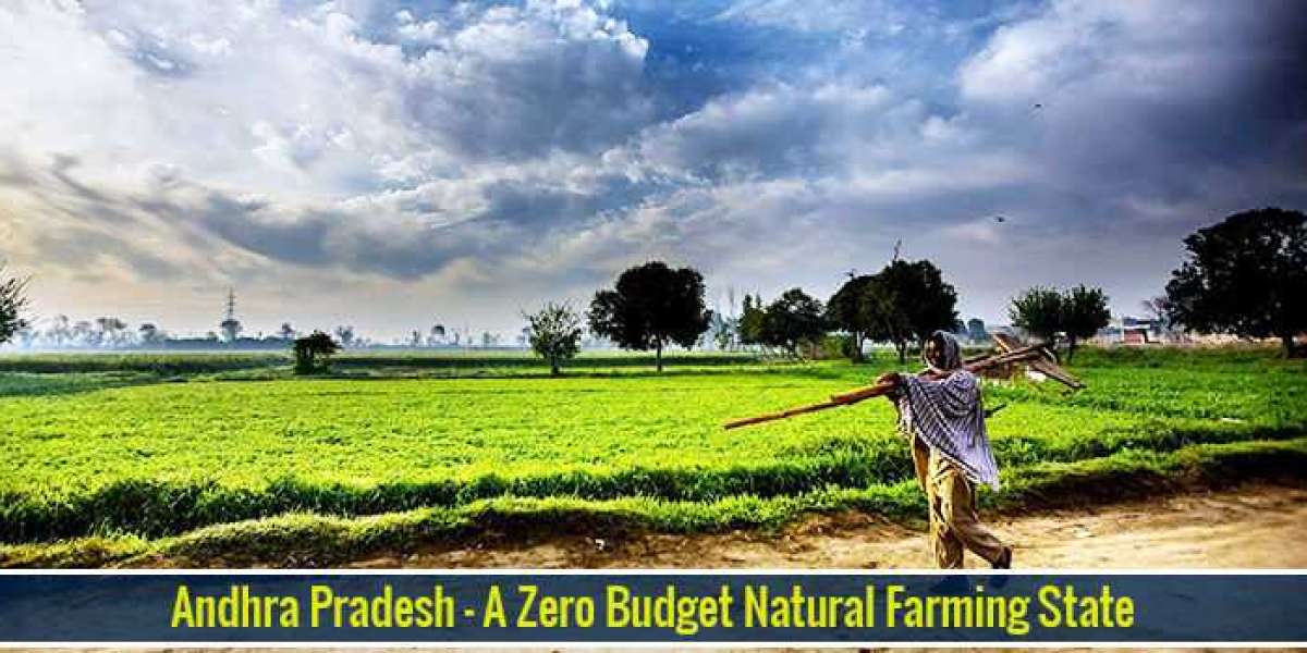 Andhra Pradesh – A Zero Budget Natural Farming State
