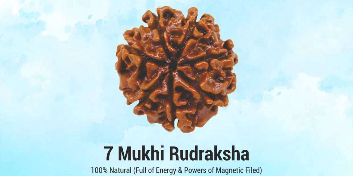7 Mukhi Rudraksha Benefits