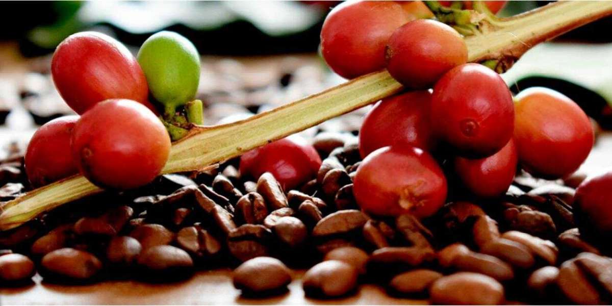 Amazing Facts about Kona Coffee