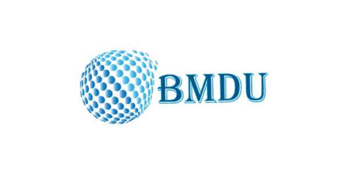 BM Digital Utilization is The NO 1 SEO Company in Noida