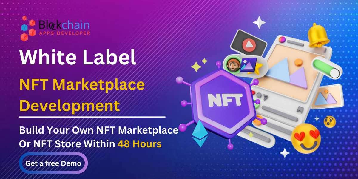 Build Your Own NFT Marketplace Or NFT Store Within 48 Hours