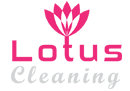 Carpet Cleaning Hampton | Professional Carpet Stain Cleaners