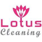 lotus carpet cleaning