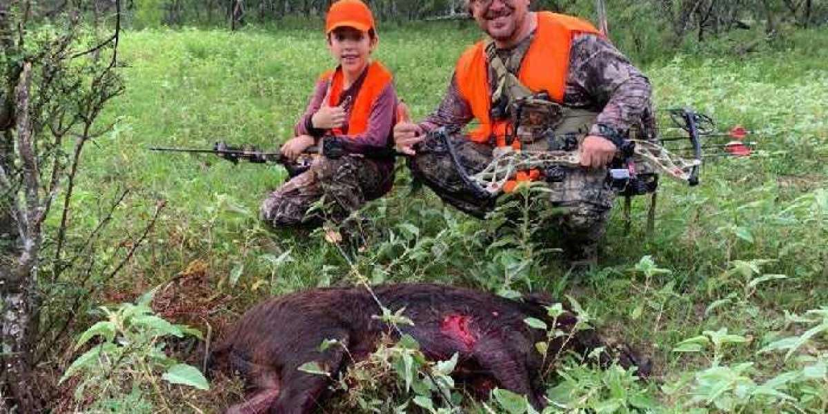 Shooting Strategies For Boar Hunting In Texas