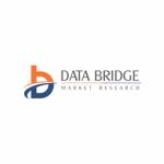 data bridge