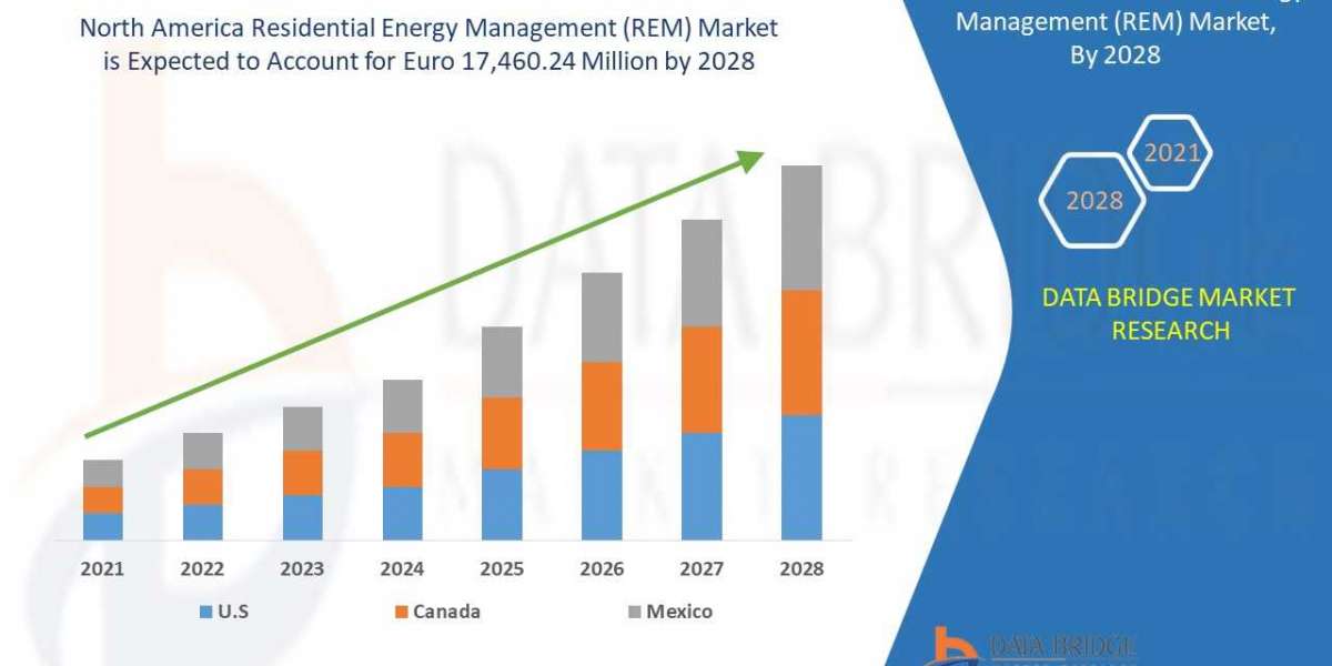North America Residential Energy Management (REM) Market 2022 Is Booming Across the Globe By future, Key Segments And Fo