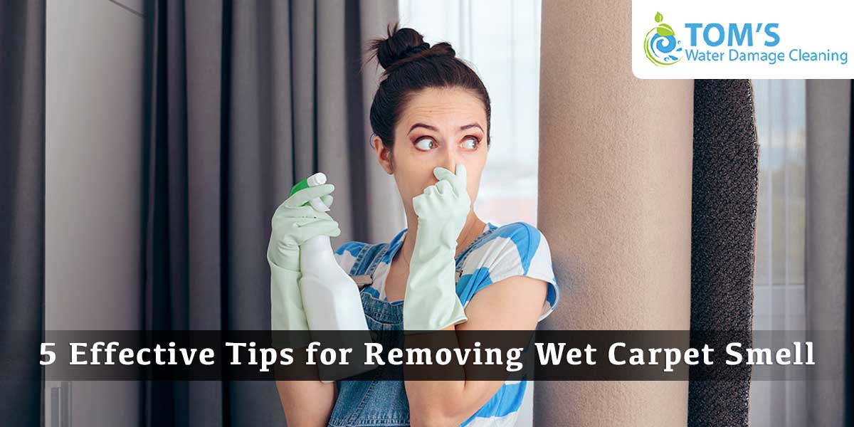 5 Effective Tips for Removing Wet Carpet Smell