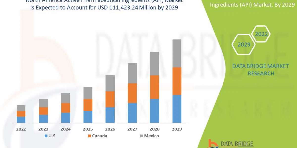North America Active Pharmaceutical Ingredients (API) Market  Insights 2022: Trends, Size, CAGR, Growth Analysis by 2029