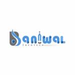 Baniwal Infotech