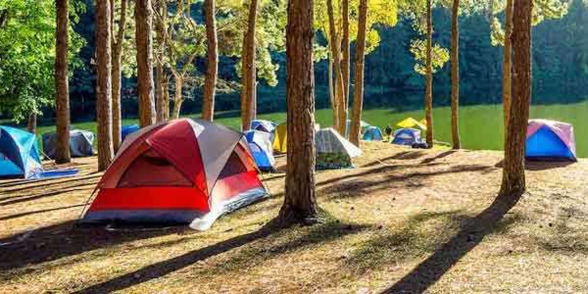 Cómo organizar un campamento de verano. Guía, consejos y organización básica