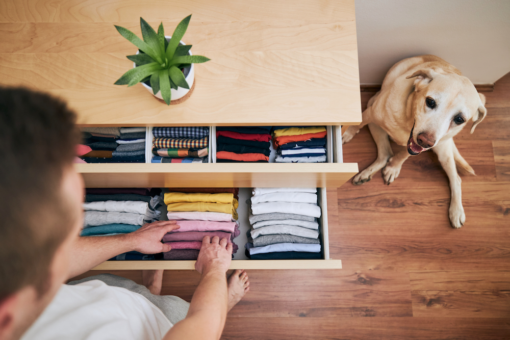 4 Simple Rules to Help You Declutter Your Apartment - AE Lofts