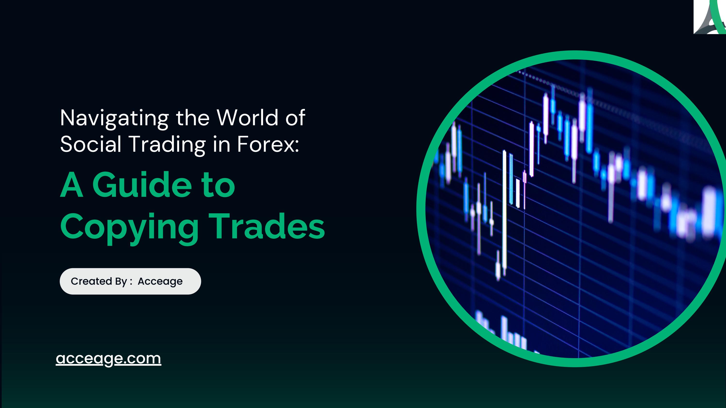 Navigating the World of Social Trading in Forex: A Guide to Copying Trades
