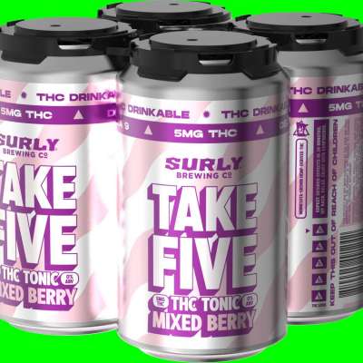 5mg Delta 9 THC | Surly Take 5 | Mixed Berry | 4 Pack | Delta 9 THC Beverages Profile Picture