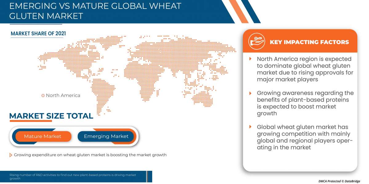 WHEAT GLUTEN MARKET to Rise at an Impressive CAGR of 7.5% by Future Growth Analysis by 2029