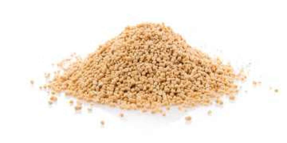 Lecithin Market Research Strategies and Resources to Grow Your Company, 2030