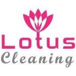 lotus upholstery cleaning