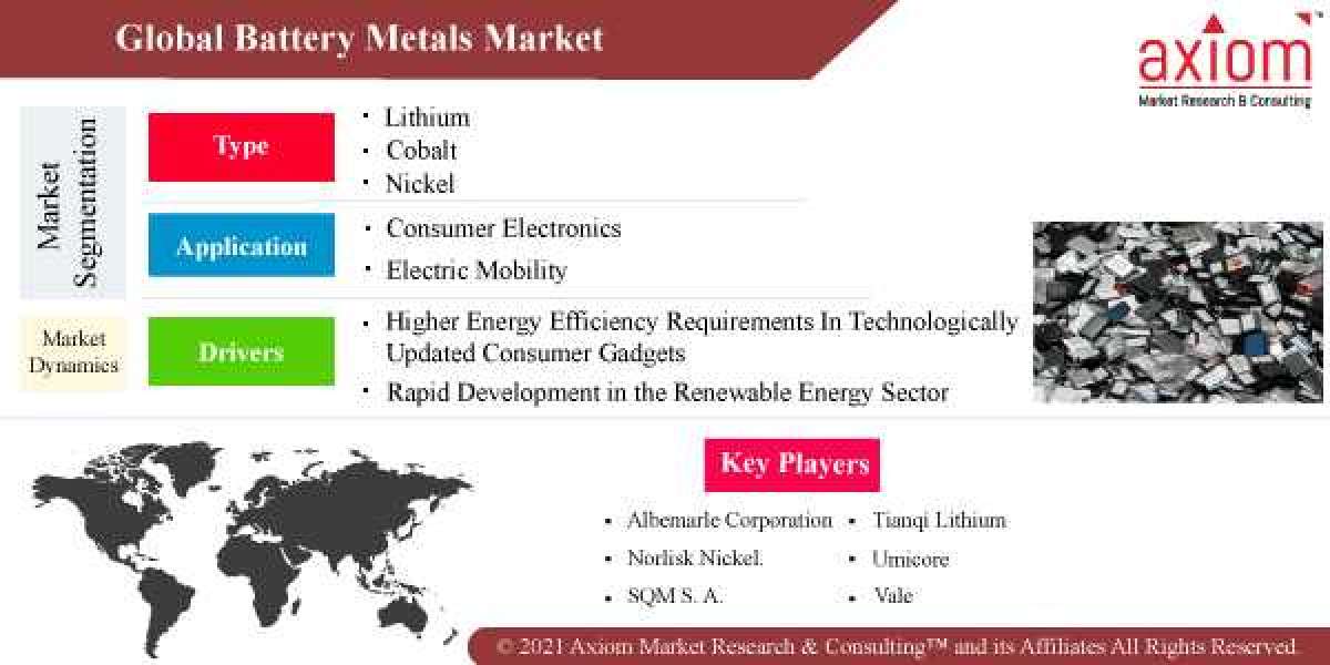 Battery Metals Market Report Forecast to 2028-COVID-19 Impact and Global Analysis by Type and Applications