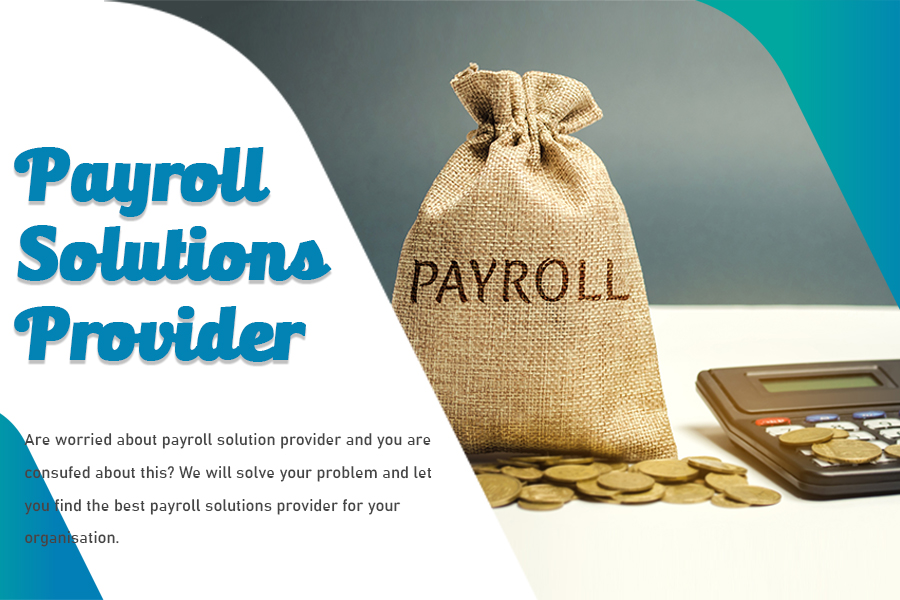Best Payroll Solution Provider Can Save Money and Time - Magzined