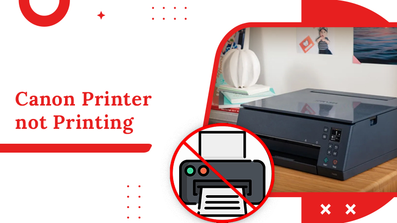 How to Fix Canon Printer not Printing Issues? - Printer Support