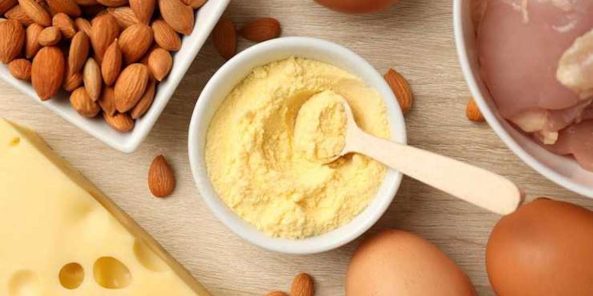 Organic Cheese Powder Market Research Future Growth, Scope, Price, and Forecast 2030