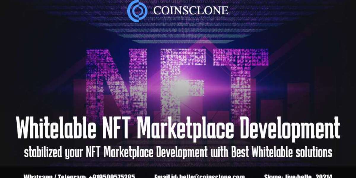Whitelabel NFT Marketplace Development - stabilized your NFT Marketplace Development with the Best White Label solutions
