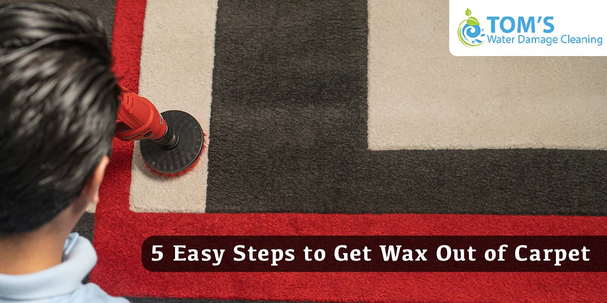 5 Easy Steps to Get Wax Out of Carpet – Toms Carpet Cleaning Melbourne