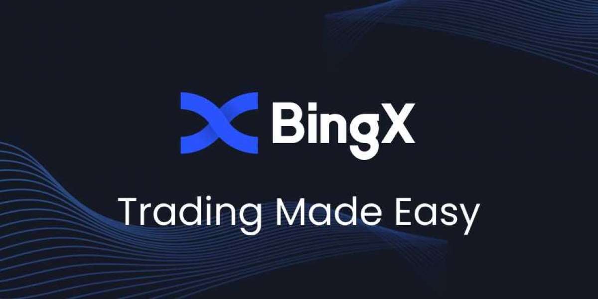 Difference between Kraken and BingX