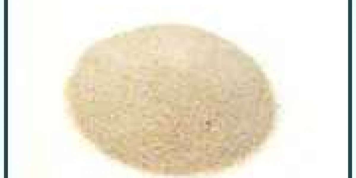 Washed Silica Sand Market Growth, Overview, Demands, Size, Trends, and Top Companies & Forecast