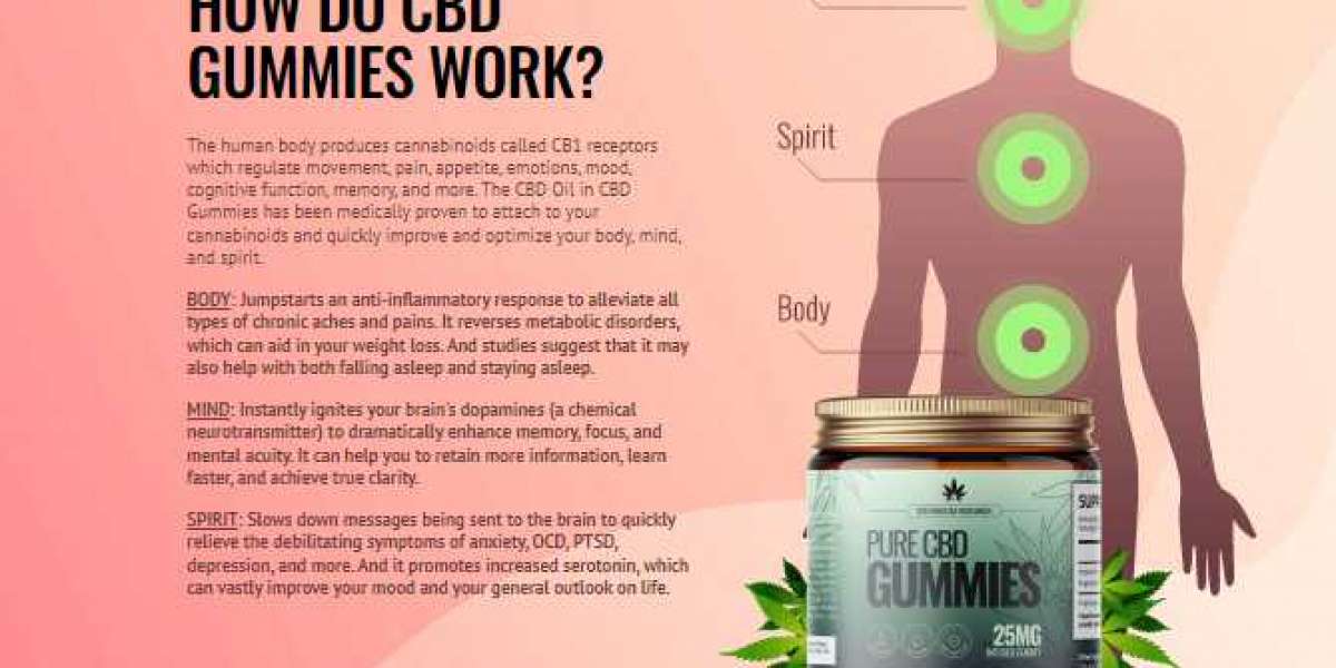 What are the workings of Alpha CBD Gummies?