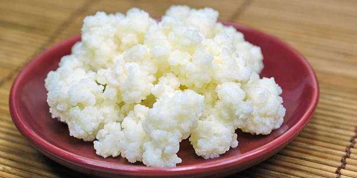 Kefir Market Trends, Insights Shared in Detailed Report, Forecasts to 2027
