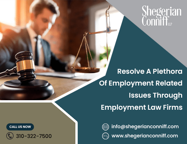 Resolve A Plethora Of Employment Related Issues Through...