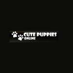 cs puppies LLC