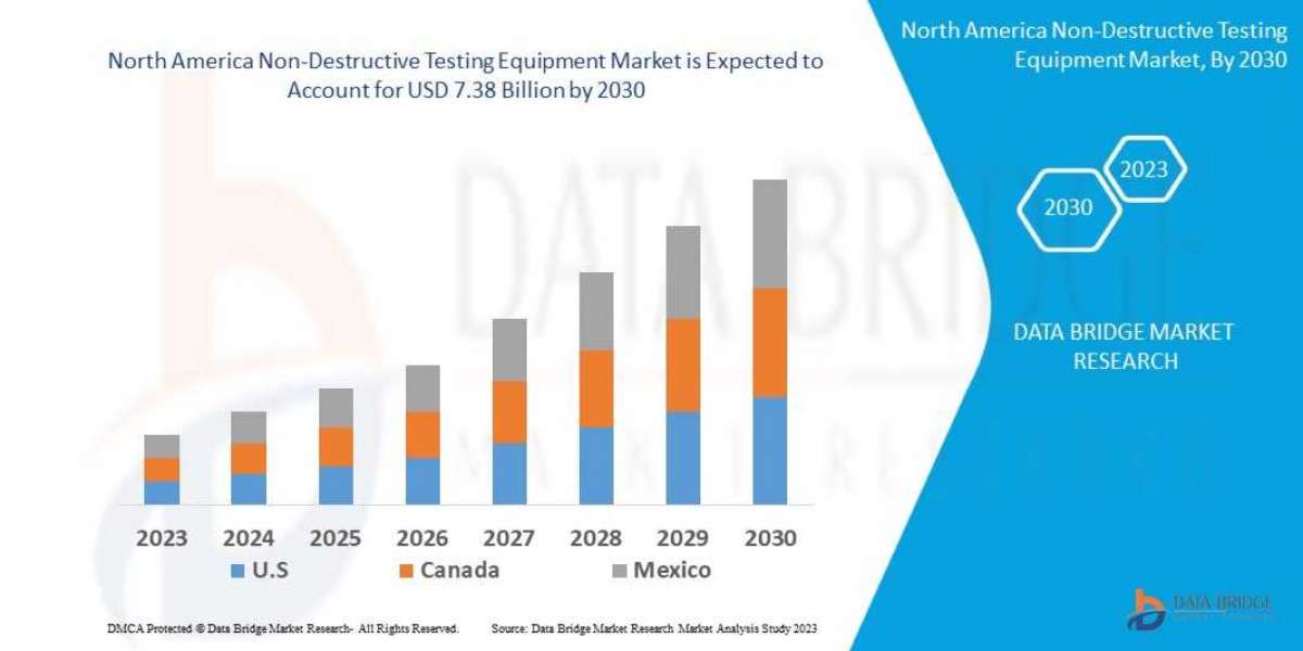 North America Non-Destructive Testing Equipment Market by Industry Perspective, Comprehensive Analysis, Growth and Forec