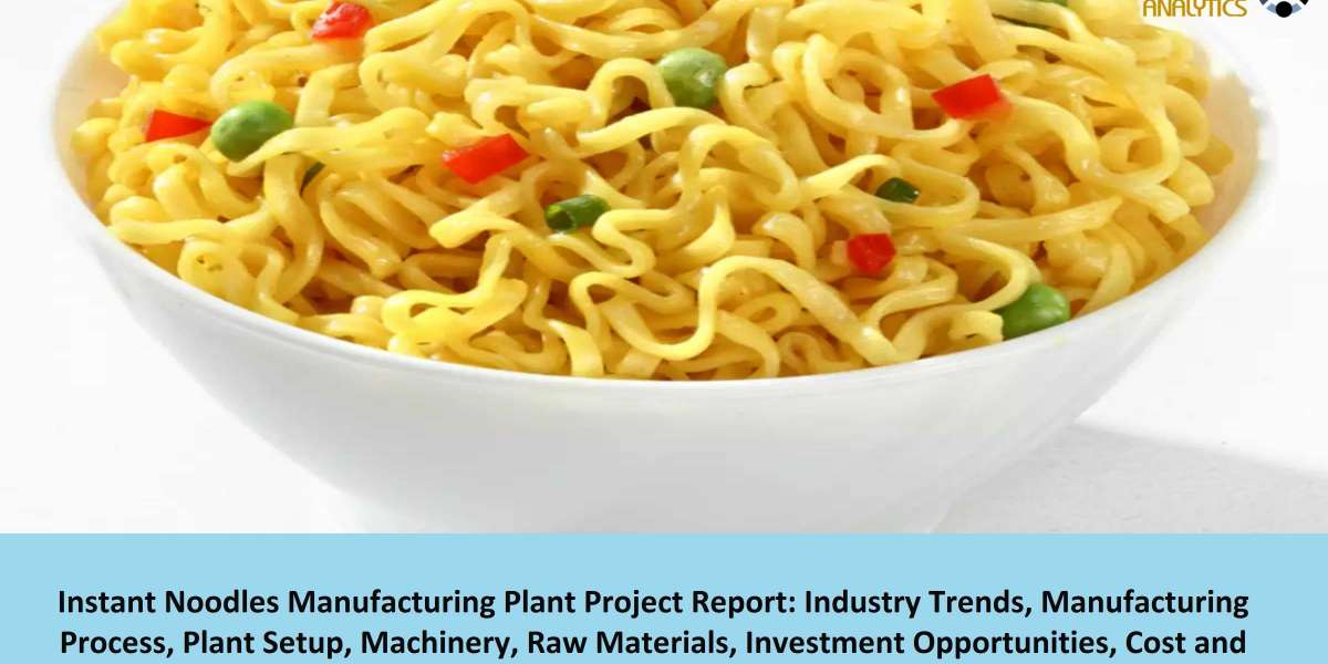 Instant Noodles Manufacturing Project Report 2023: Plant Cost, Business Plan, Raw Materials 2028 | Syndicated Analytics