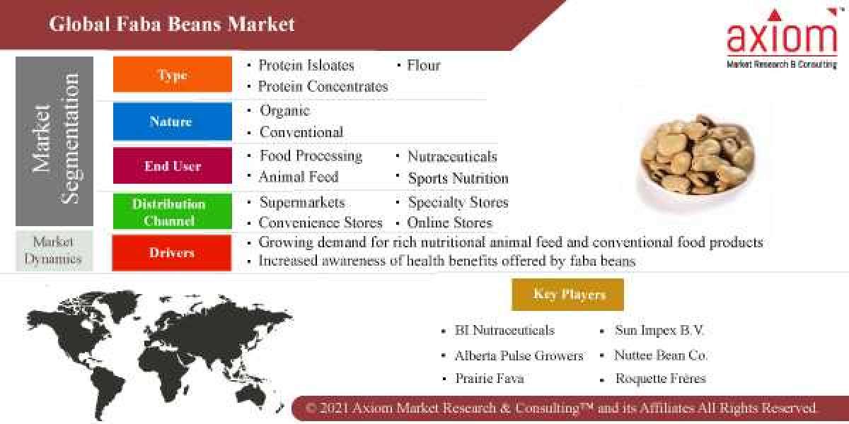 Faba Beans Market Report Size, Share to Surpass $ 5.9 Billion by 2028