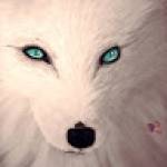 White Fox Profile Picture