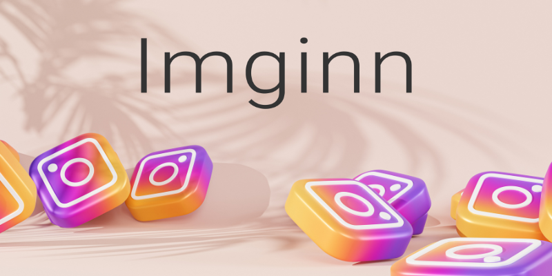 Imginn: How to use it to download Instagram videos, posts & avatars