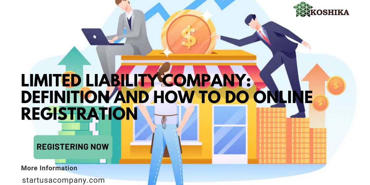 Limited Liability Company: Definition and How to do Online Registration