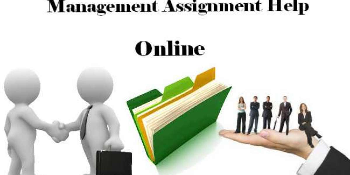 Management Assignment Help in USA to Score A+ Grades