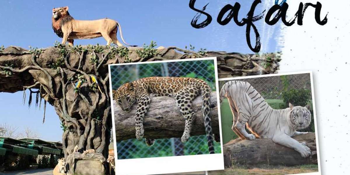 Visit the Jungle Safari at the Statue of Unity
