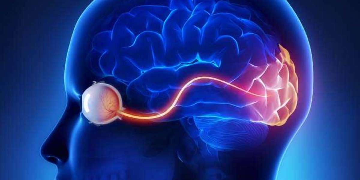 Optic Neuritis Treatment Market Research Report 2022 by Product Type, Application, Region And Forecast to 2031