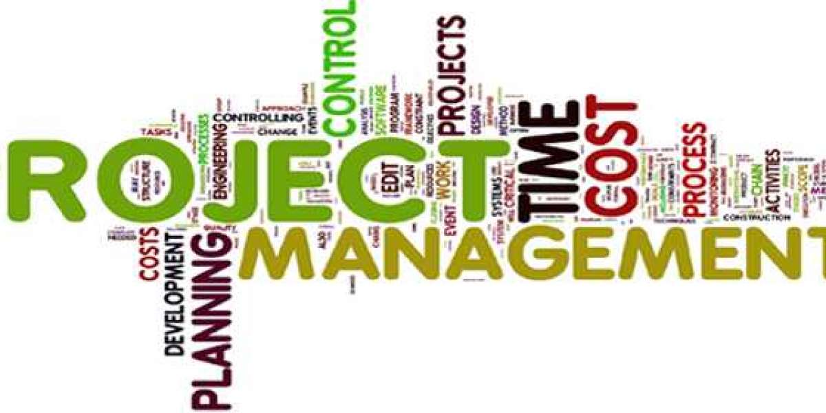 Hire Expert Project Management Assignment Help