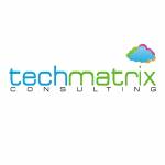 TechMatrix Consulting