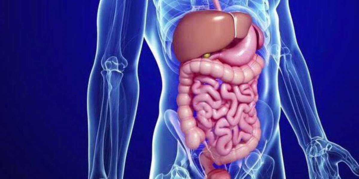Global Gastrointestinal Drugs Market Size, Growth Overview and Trends by 2030