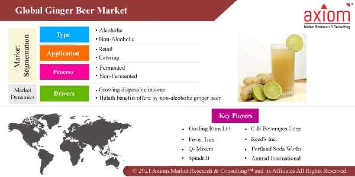 Ginger Beer Market Report to2028 Global Analysis and Forecasts Technology End User, and Geography.