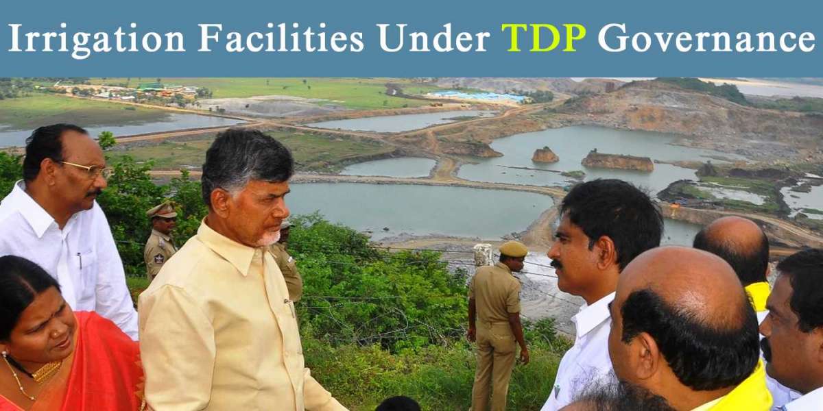 Irrigation Facilities Under TDP Governanc
