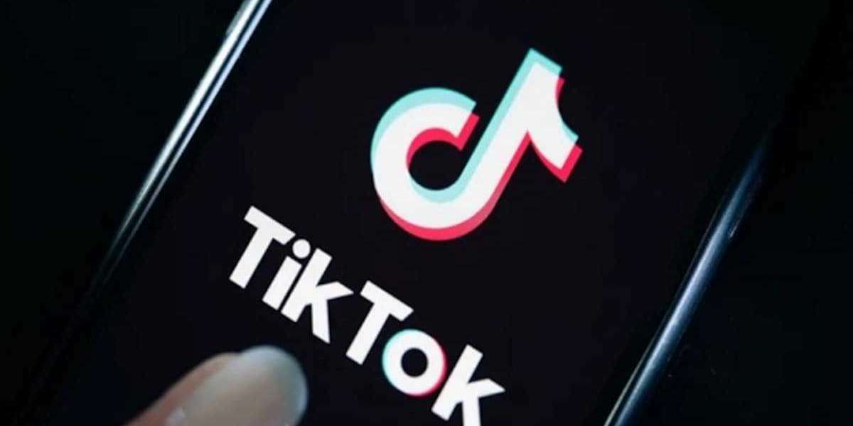 What is the role of TikTok challenges in promoting a song on the platform?