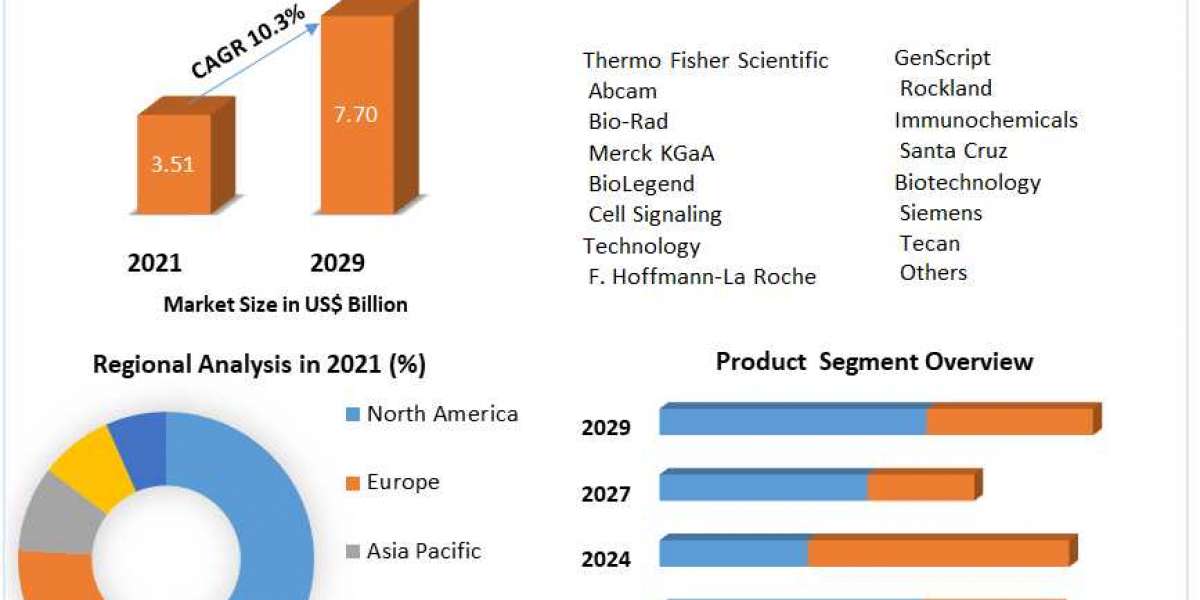 Neuroscience Antibodies & Assays Market Trends, Active Key Players and Growth Projection Up to 2029