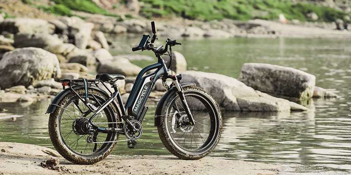 Electric Bike Troubleshooting: The Most Common Problems and Solutions