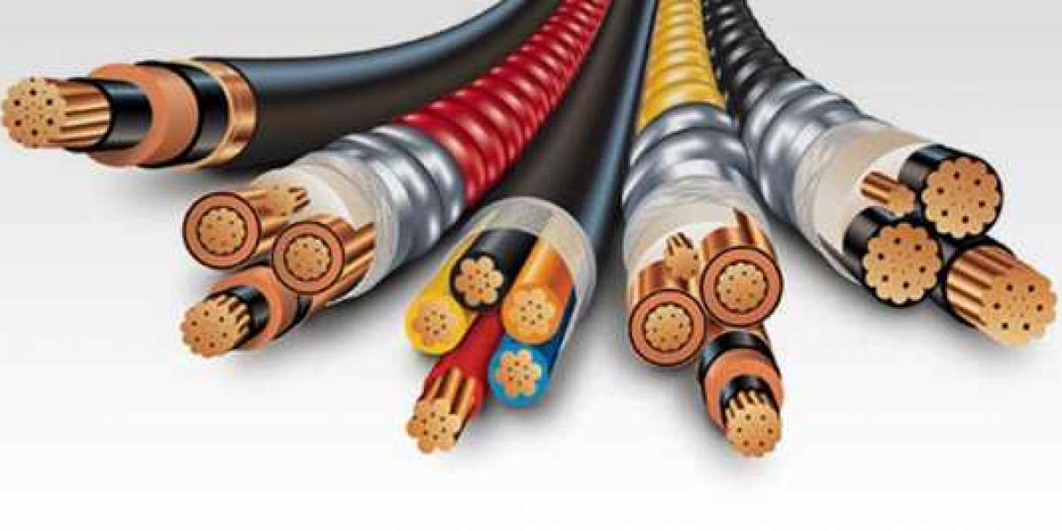 Top 10 Wire & Cable in India
